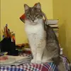 Отзыв от Зинаида Емельянова
